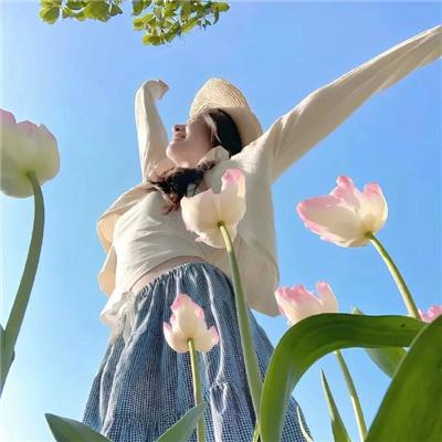 马斯顿教授与神奇女侠